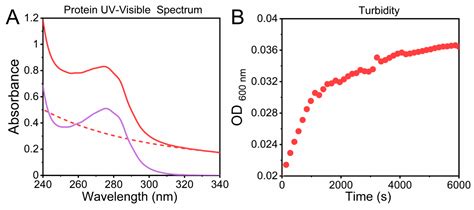 uv visible protein aggregation